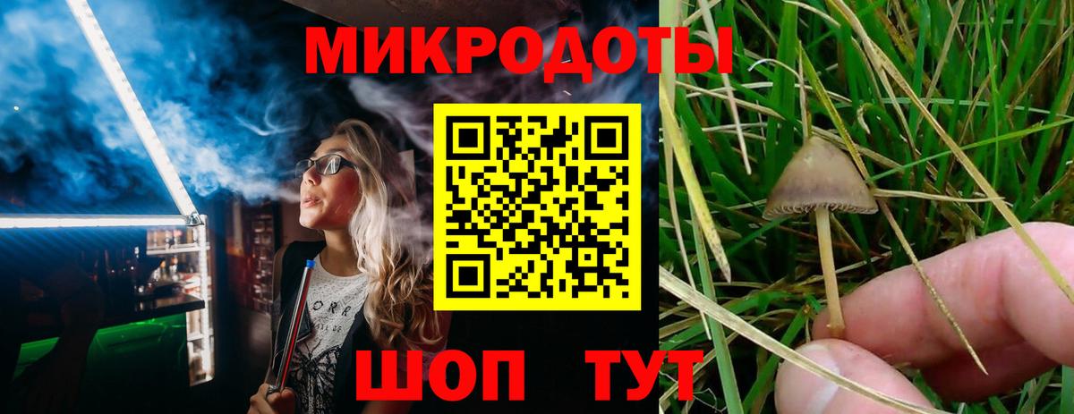 Прохладный  Галлюциногенные грибы Psilocybe  Вход с VPN 